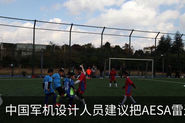 中国军机设计人员建议把AESA雷达嵌入战机机翼
