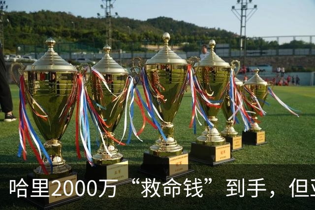 哈里2000万“救命钱”到手，但亚马逊的条件让他更难堪