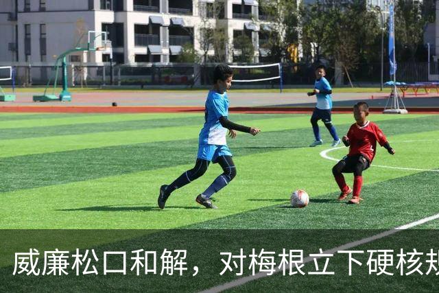 威廉松口和解，对梅根立下硬核规矩，破冰来之不易！