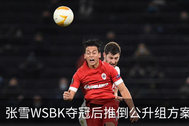 张雪WSBK夺冠后推倒公升组方案：弃四缸改自研V5，两年冲公升组经理放话全力托底