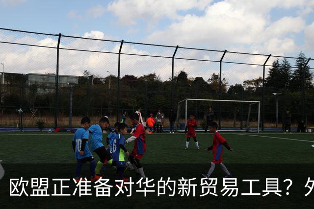 欧盟正准备对华的新贸易工具？外交部：望欧方避免出台保护主义政策