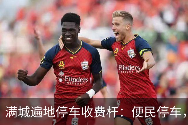 满城遍地停车收费杆：便民停车，为何变了味道？