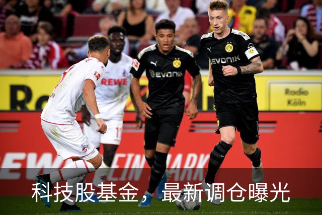 科技股基金，最新调仓曝光