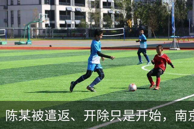 陈某被遣返、开除只是开始，南京警方已接到百起举报：这不是小事