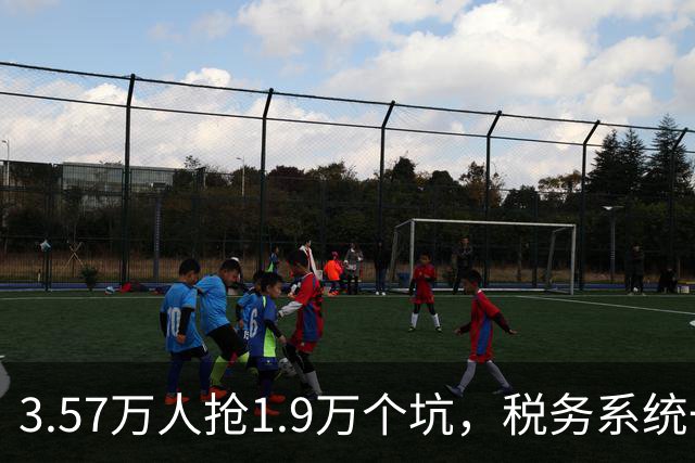 3.57万人抢1.9万个坑，税务系统一家吃掉67%：国考正在悄悄换跑道